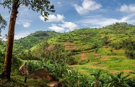 Ruandanın iqtisadi uğuru